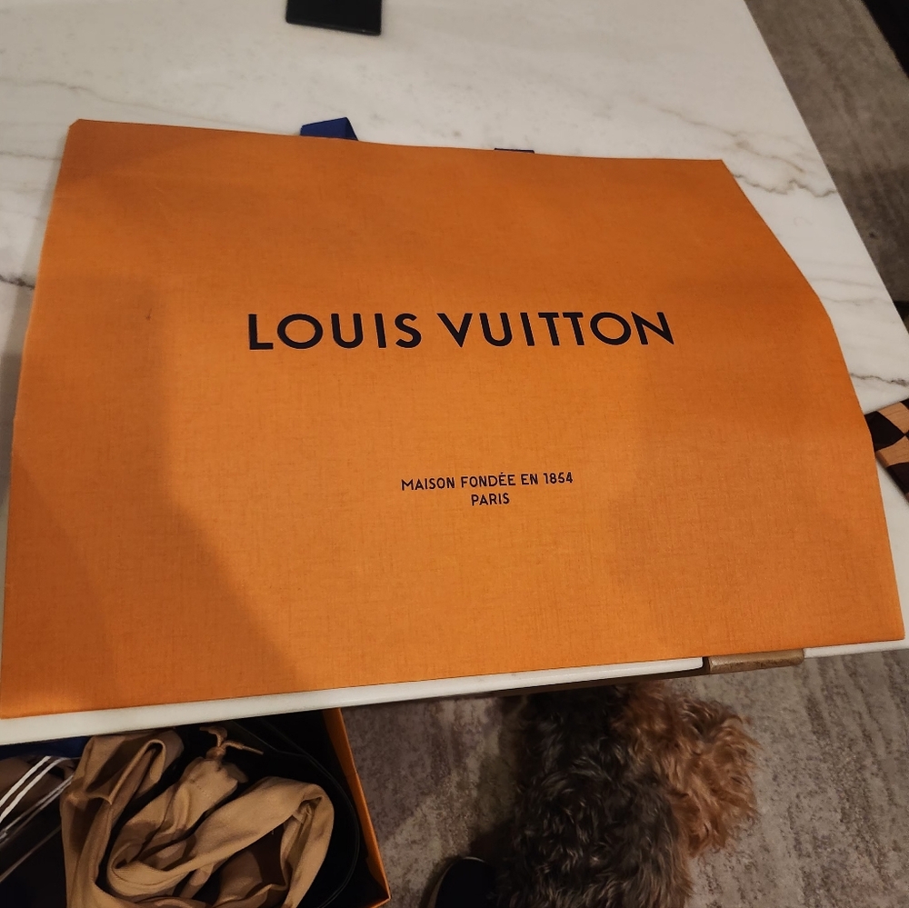 Louis Vuitton Orange Branded Bag